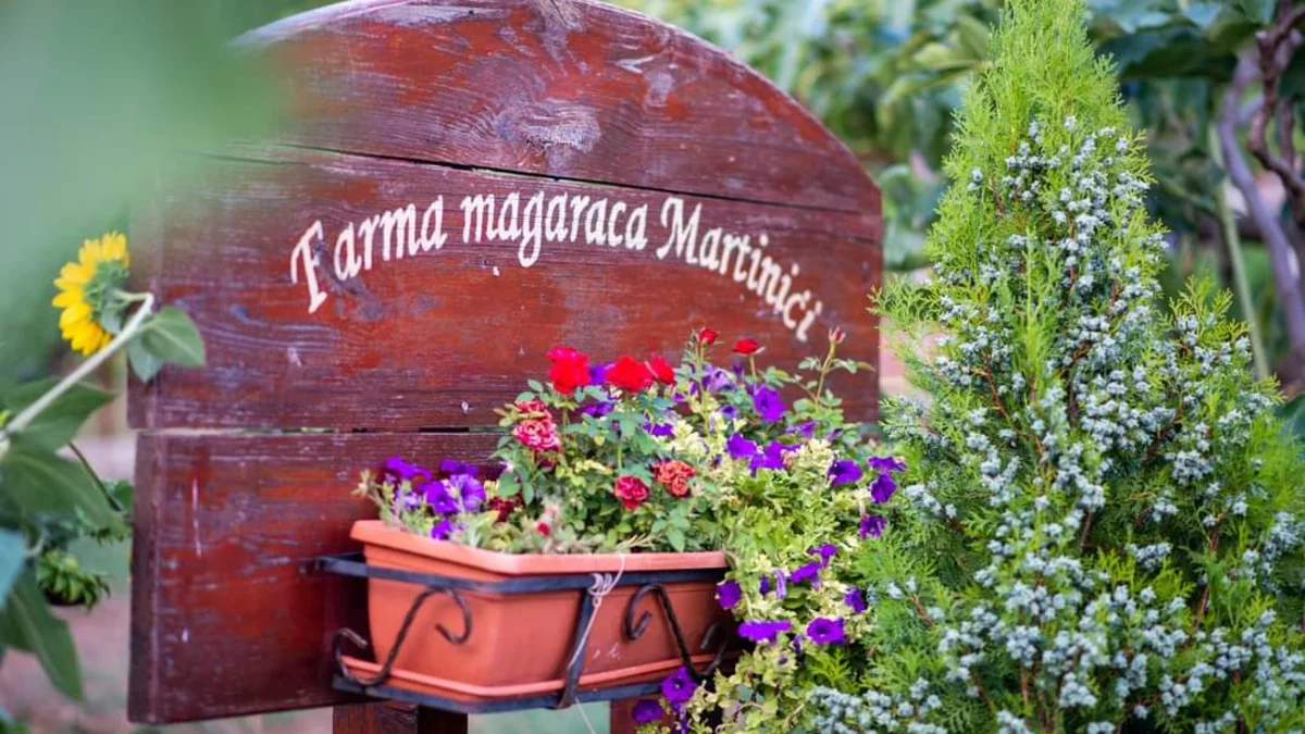 Facebook 1712820786721 7184091077031199921