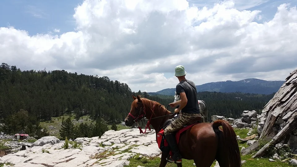 13438831 307457576265256 156371252999035185 n