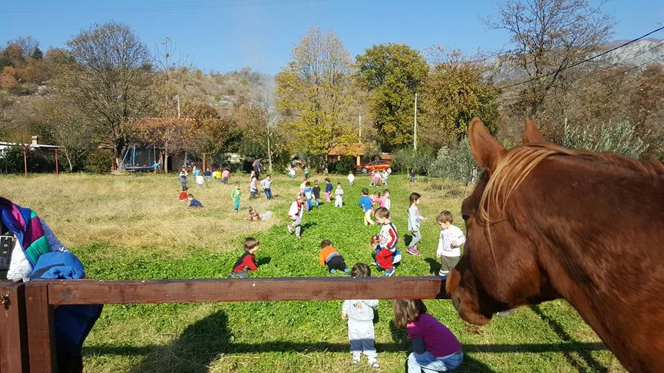 15220006 382630105414669 1338332493414627129 n