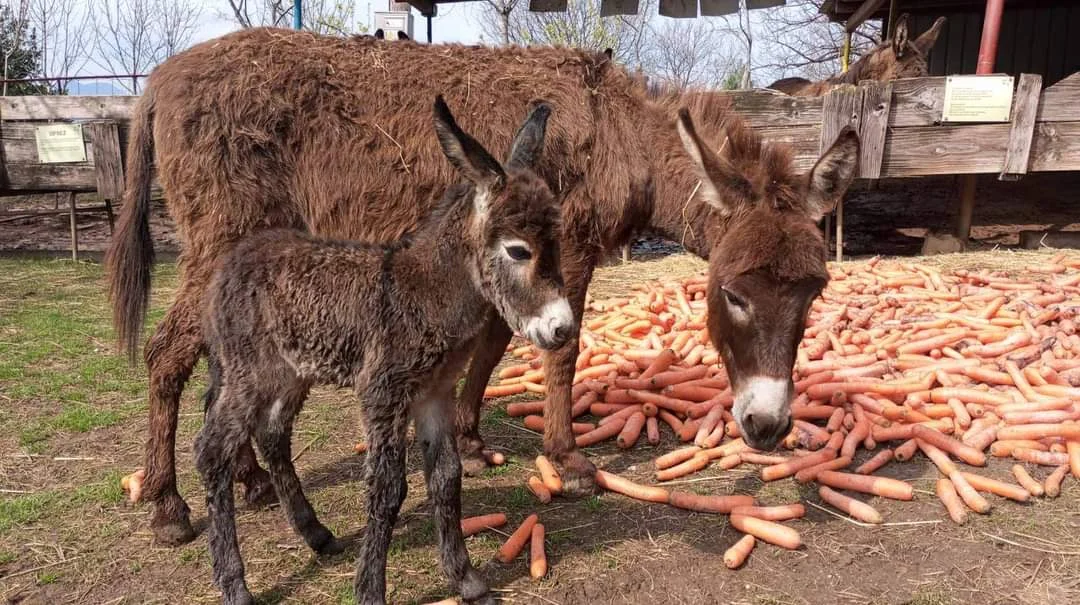 Fb img 1712819296983