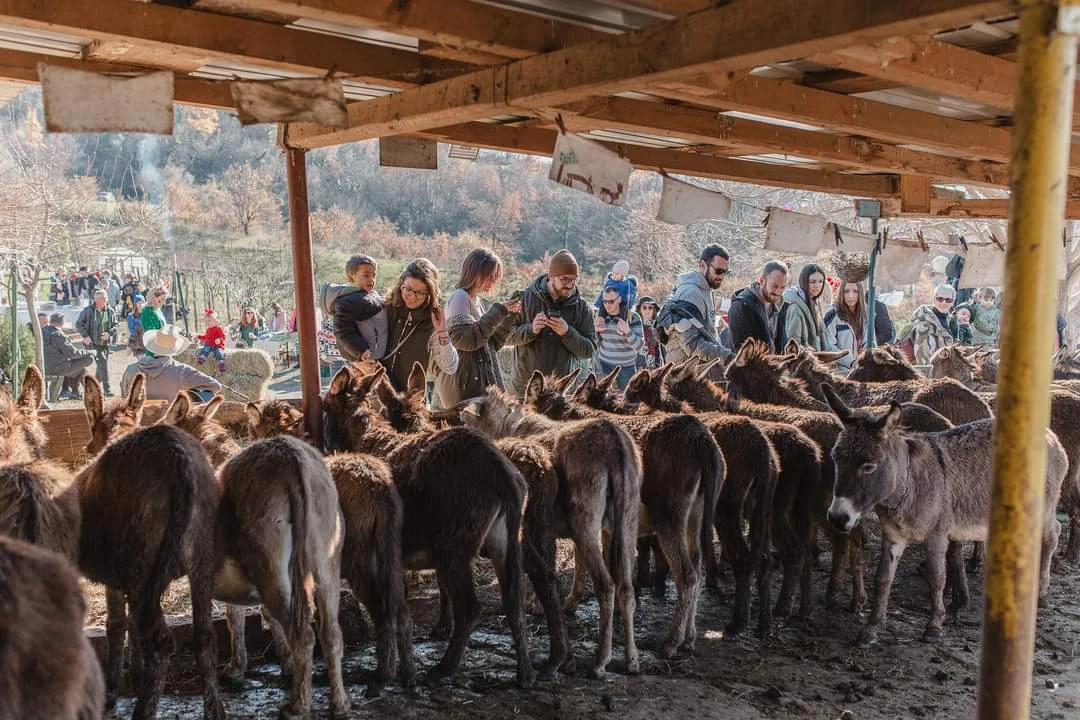 Fb img 1712819350481