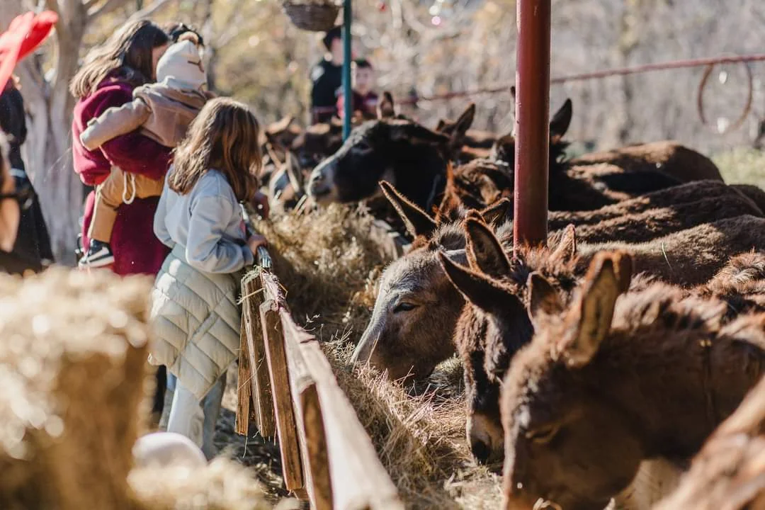 Fb img 1712819386710