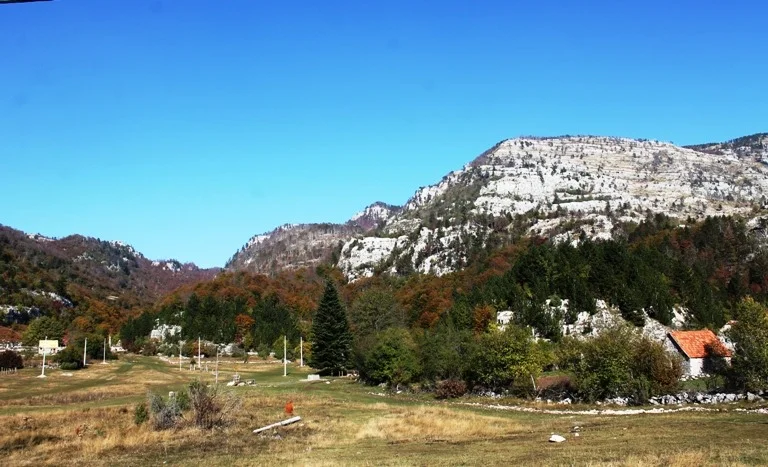 106748384 308743726835701 2201373278149743653 n