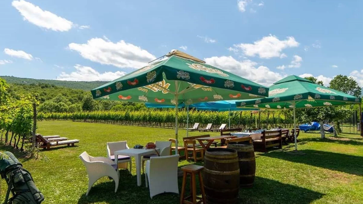 105936583 268883021008085 633978564276560942 n 1