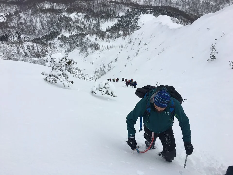 28379807 2014145552177490 6791877793654928099 n