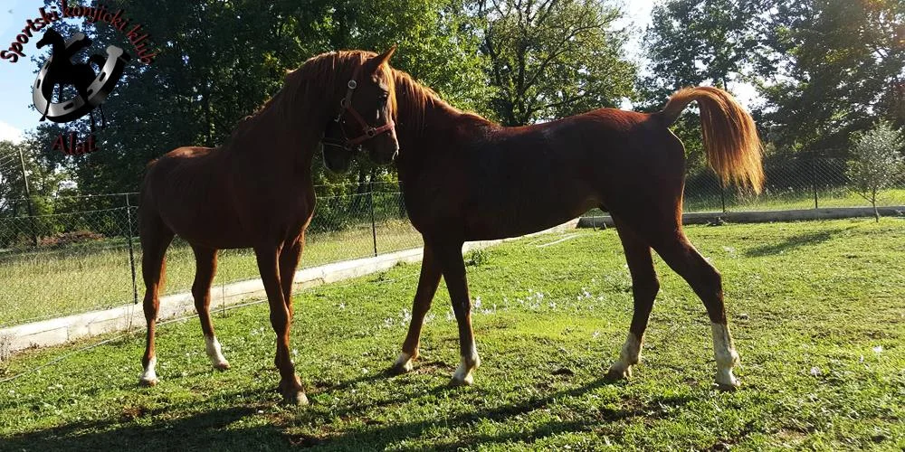 12747465 237461366598211 108965556671193618 o