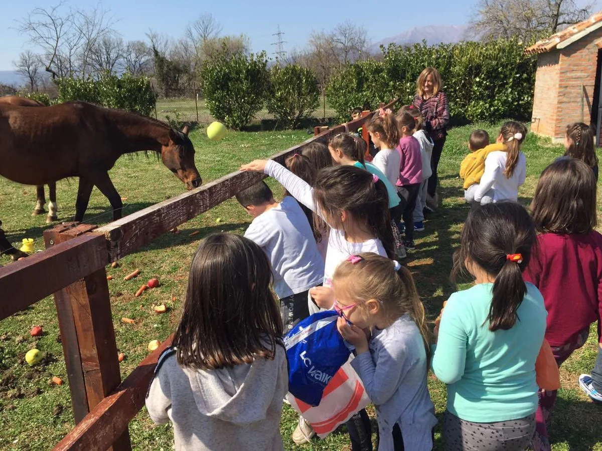 54516430 862435137434161 8649317114777174016 n