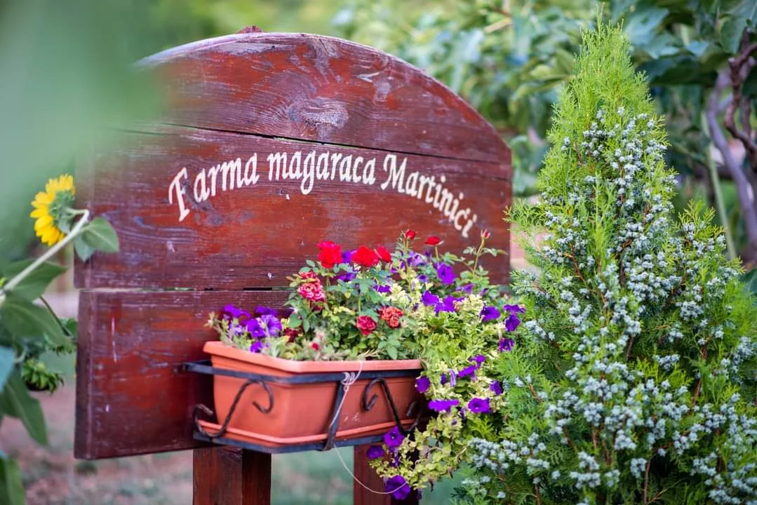 Facebook 1712820786721 7184091077031199921