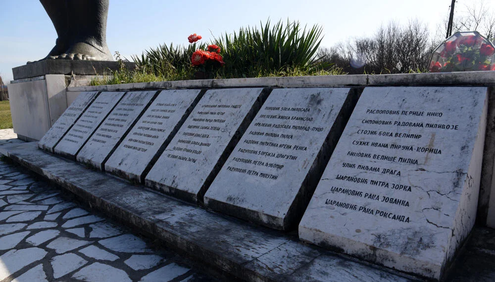 5302931 2010316 1 ff