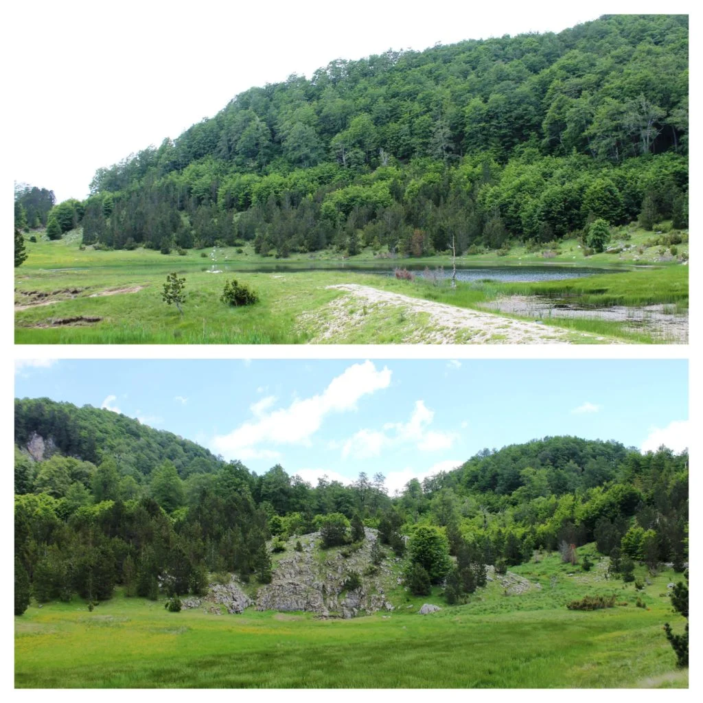 Befunky collage 16 1024x1024