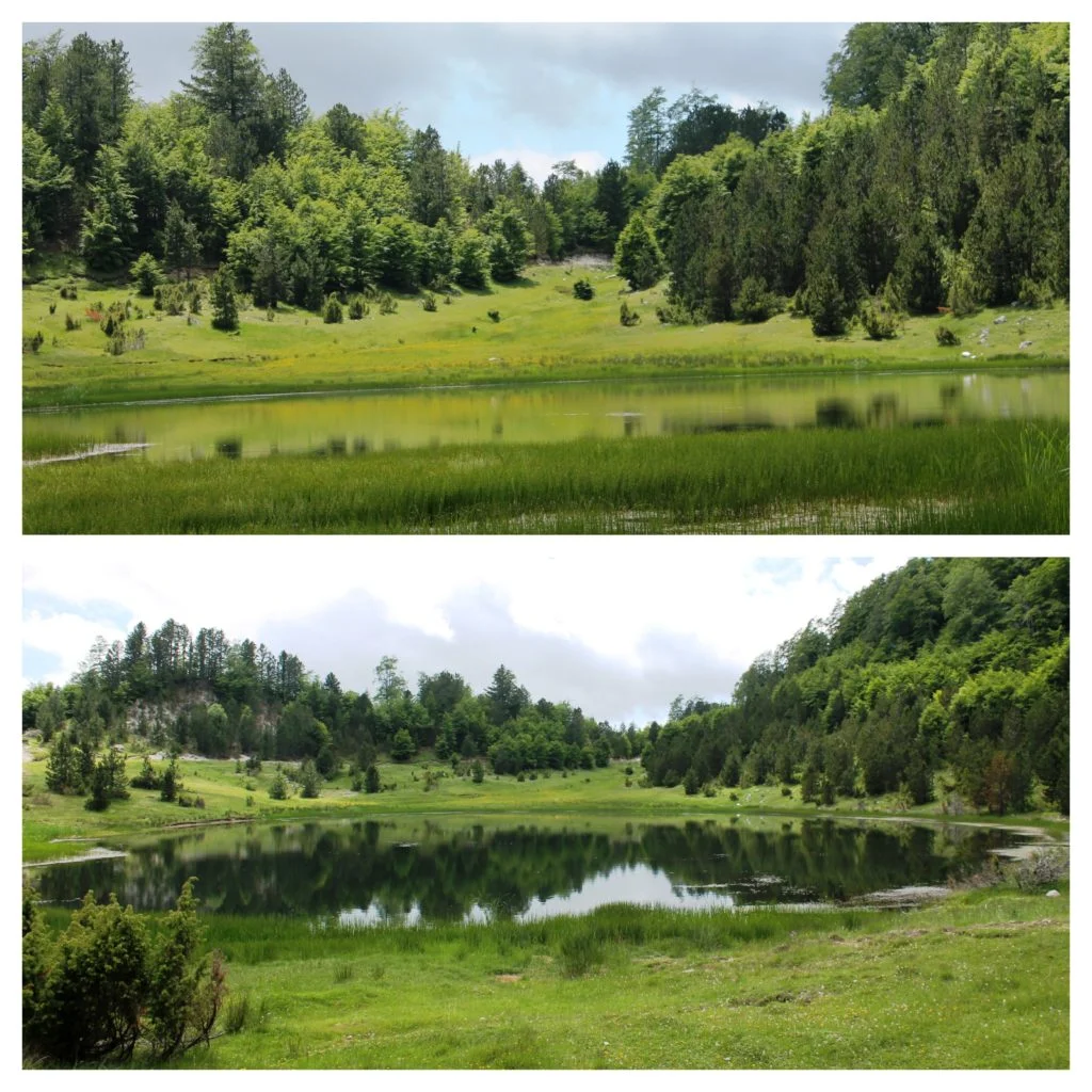 Befunky collage 17 1024x1024