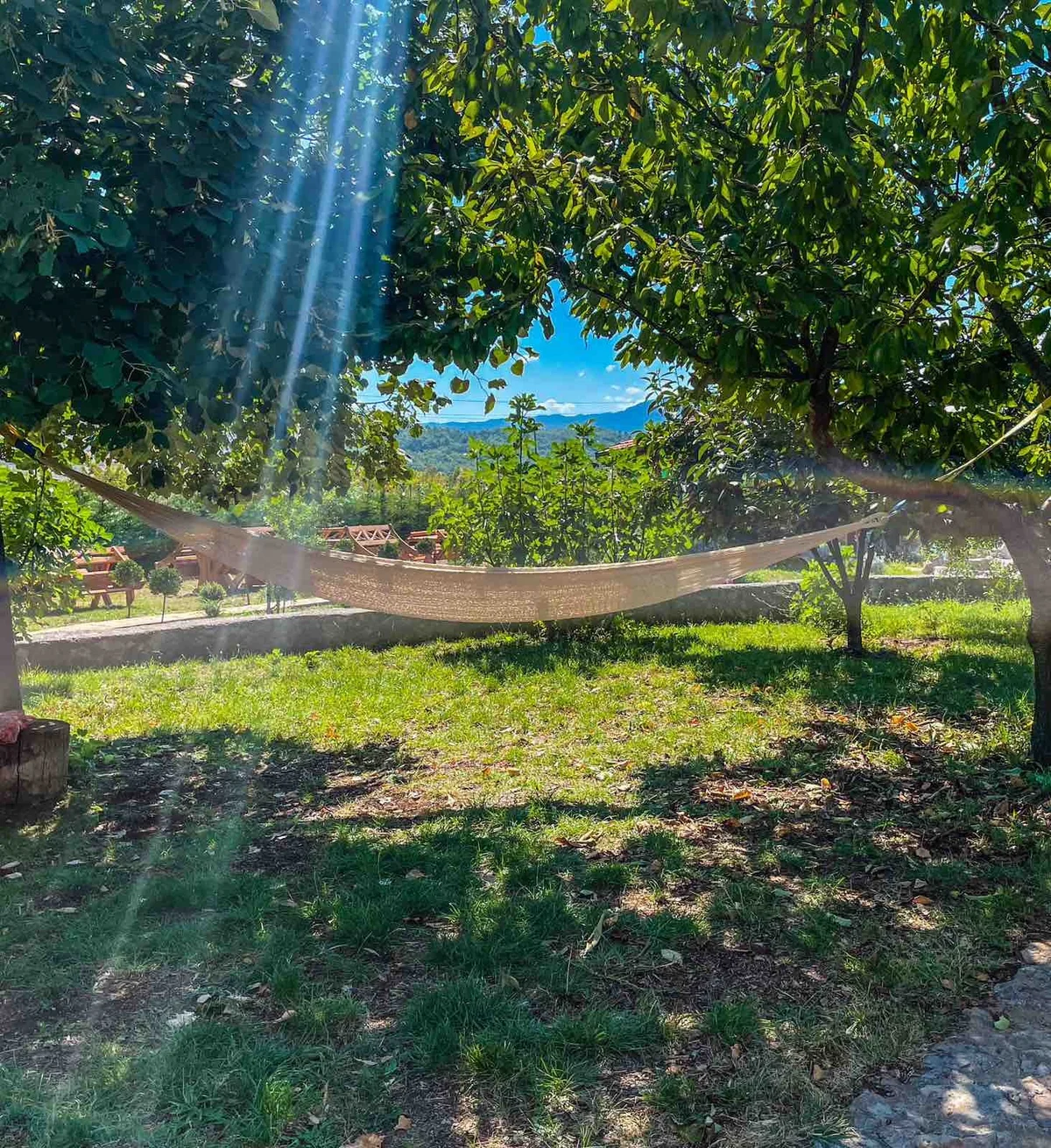 Img 91bc217f418d86d341ee57b2896bede5 v